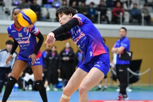 イメージ (49)