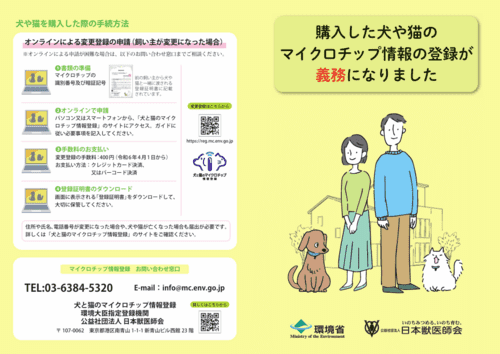 イメージ (1)