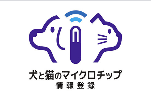 イメージ (6)