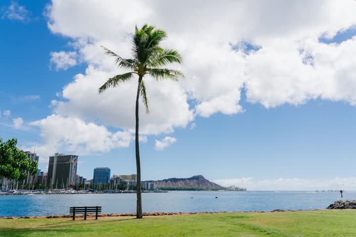 人生を拓くAloha Time(あろはたいむ)