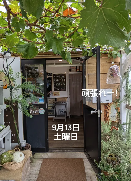 PocoaPoco（ﾎﾟｺｱﾎﾟｺ）　ソクトクリーム、ホットサンド他、朝取れの野菜もあります。