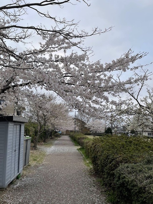 イメージ (17)