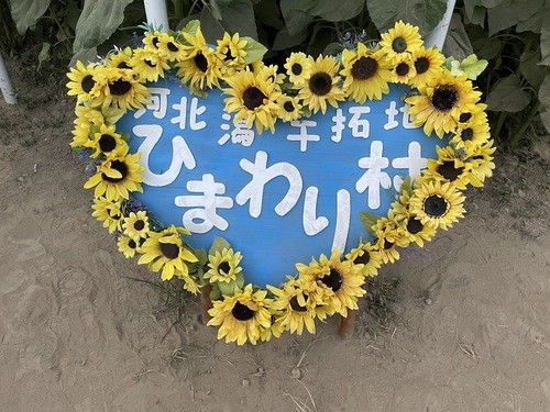 イメージ (60)