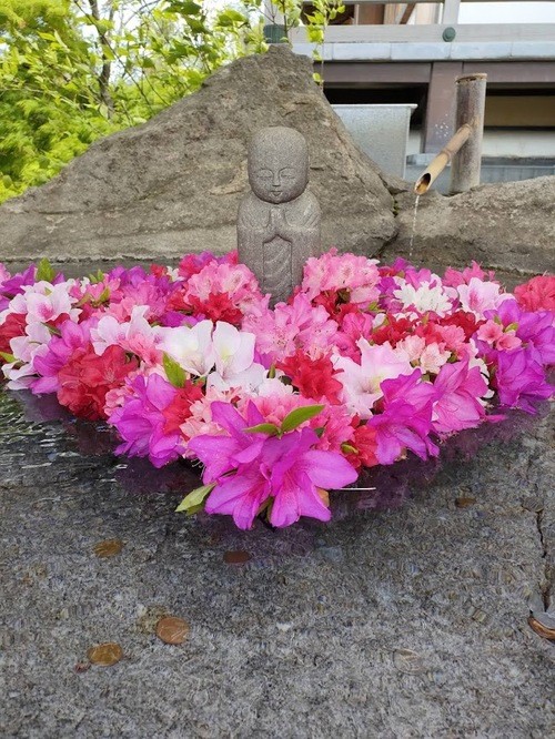 イメージ (70)
