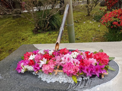イメージ (72)
