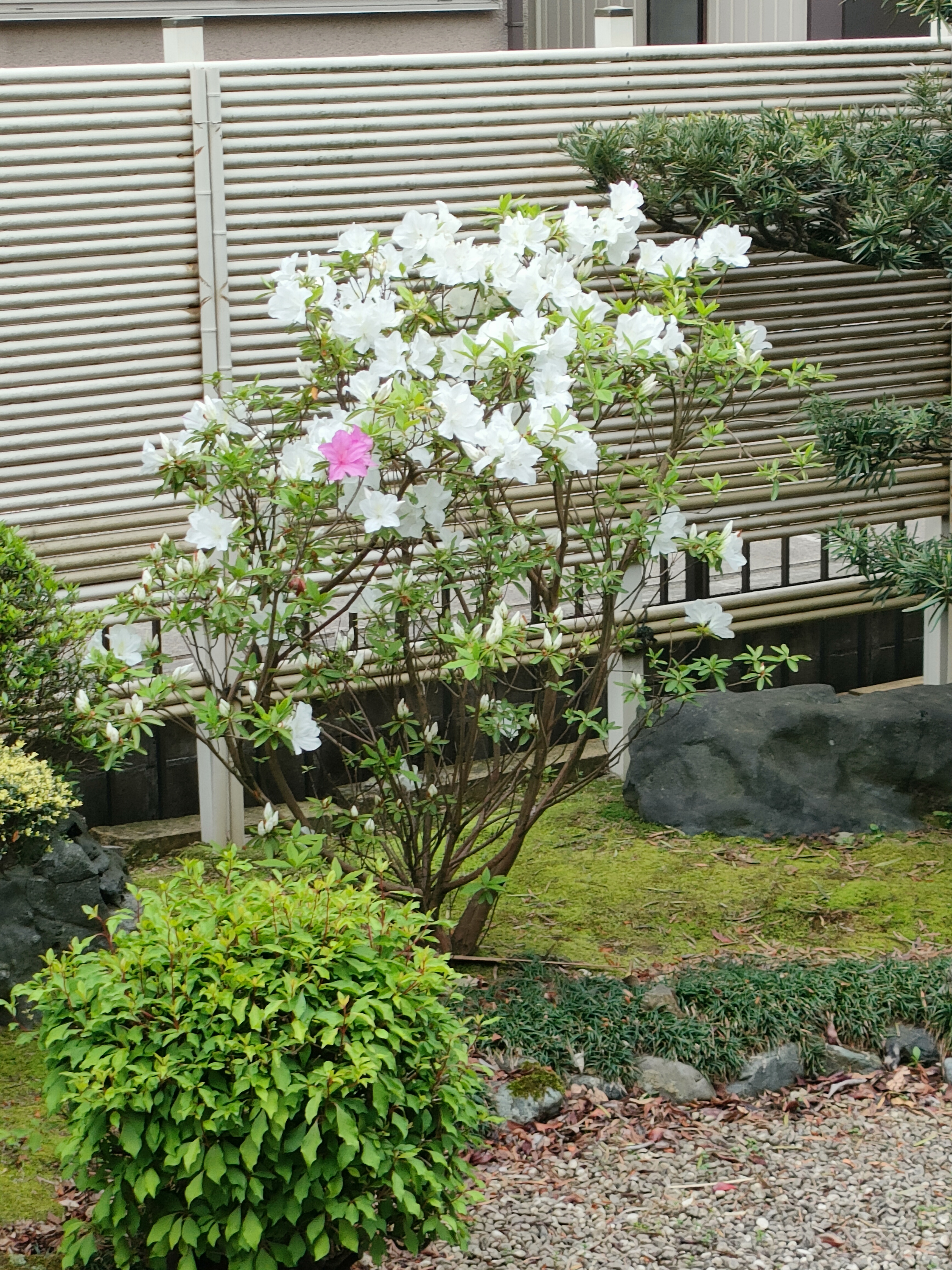 イメージ (6)